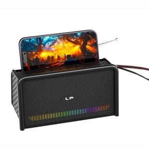 Haut-parleur Bluetooth LP avec Support Téléphone & Radio FM